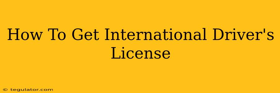 How To Get International Driver's License