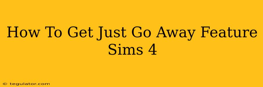 How To Get Just Go Away Feature Sims 4