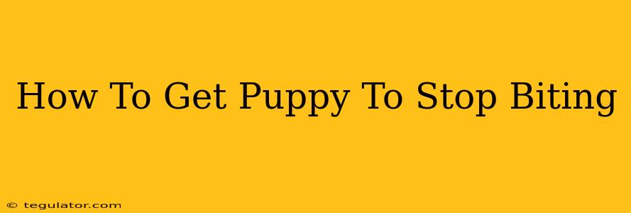 How To Get Puppy To Stop Biting