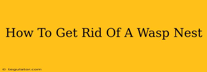 How To Get Rid Of A Wasp Nest