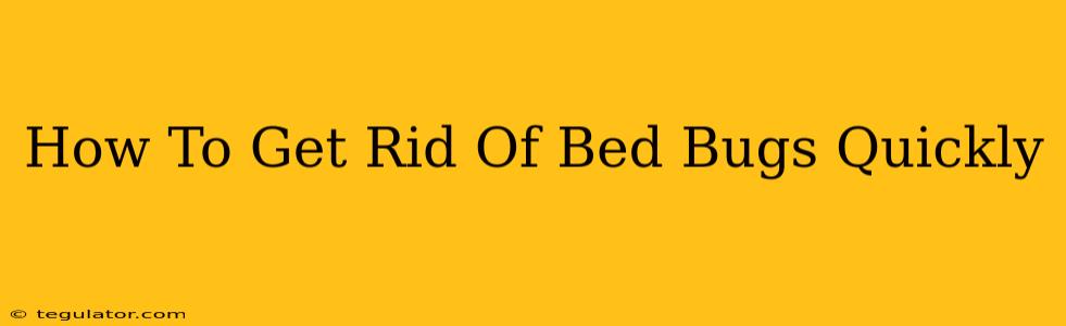 How To Get Rid Of Bed Bugs Quickly