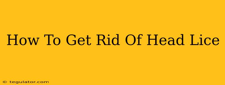 How To Get Rid Of Head Lice