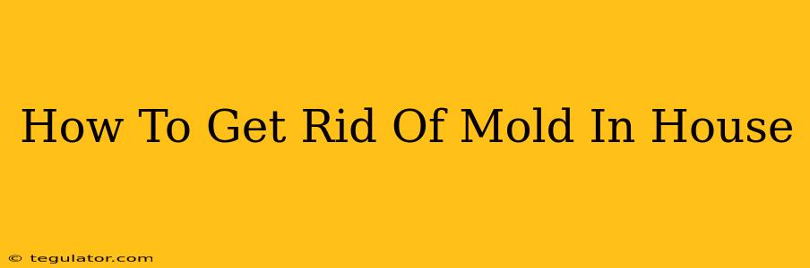 How To Get Rid Of Mold In House