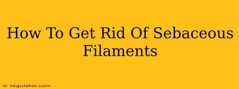 How To Get Rid Of Sebaceous Filaments