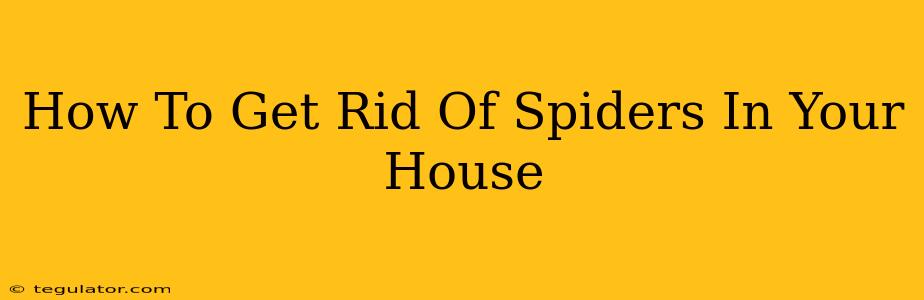 How To Get Rid Of Spiders In Your House