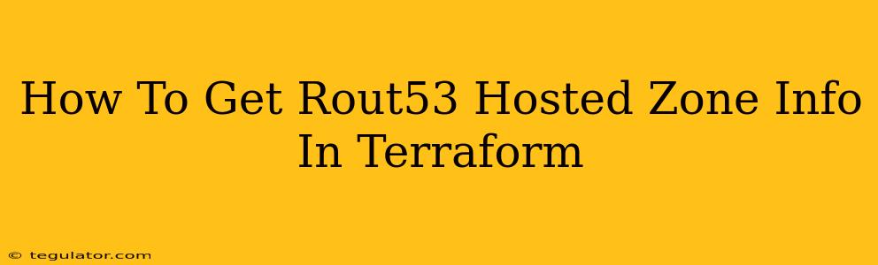 How To Get Rout53 Hosted Zone Info In Terraform