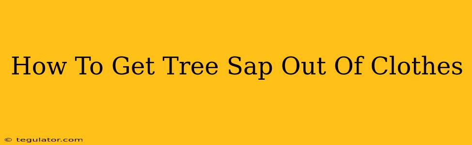 How To Get Tree Sap Out Of Clothes