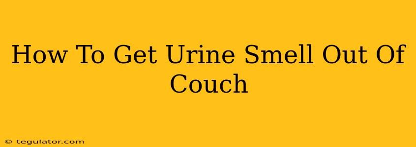 How To Get Urine Smell Out Of Couch