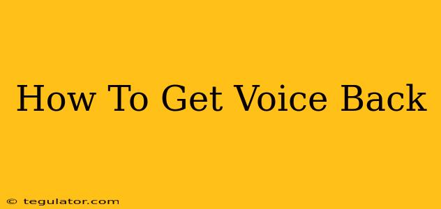 How To Get Voice Back