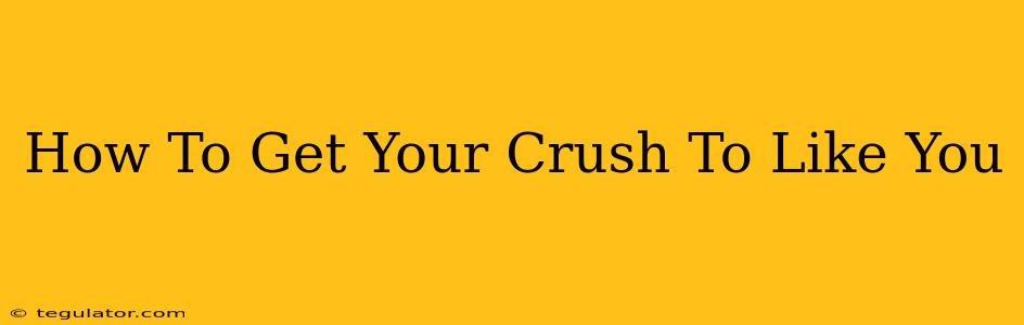 How To Get Your Crush To Like You