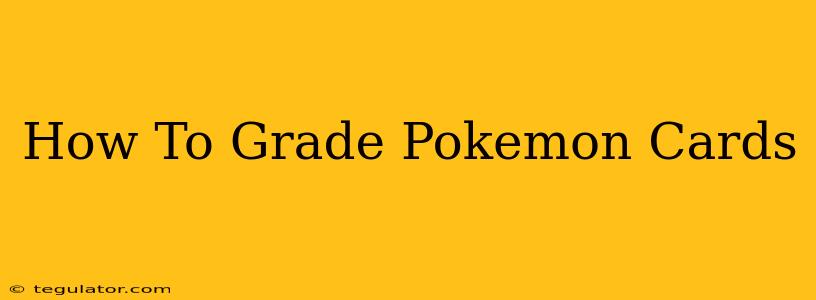 How To Grade Pokemon Cards