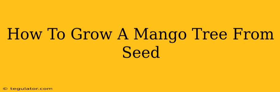 How To Grow A Mango Tree From Seed