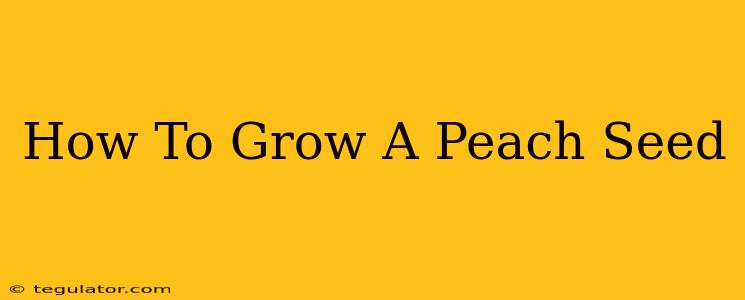 How To Grow A Peach Seed