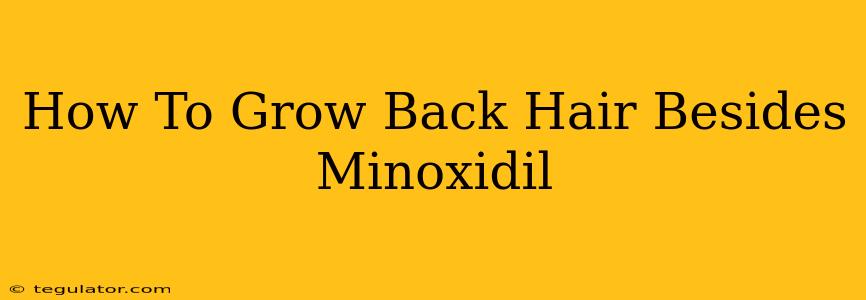 How To Grow Back Hair Besides Minoxidil