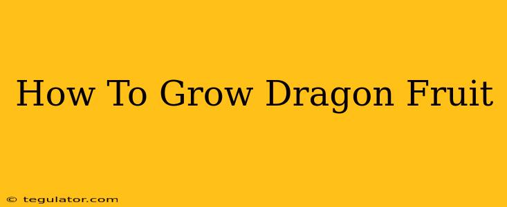 How To Grow Dragon Fruit