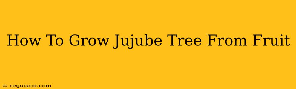 How To Grow Jujube Tree From Fruit