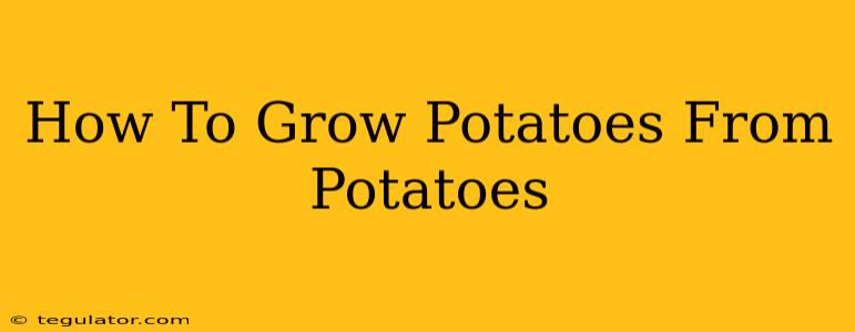 How To Grow Potatoes From Potatoes