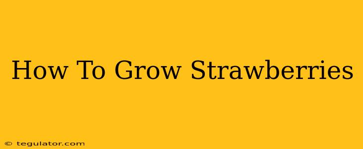 How To Grow Strawberries