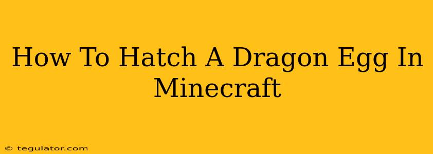 How To Hatch A Dragon Egg In Minecraft