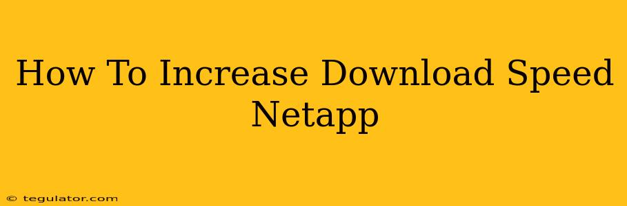 How To Increase Download Speed Netapp