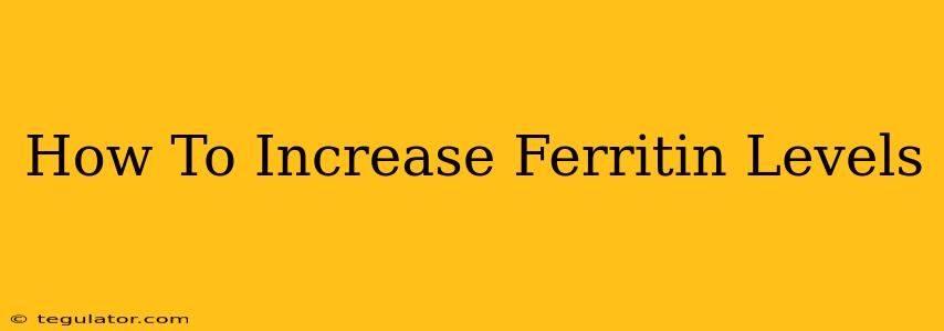 How To Increase Ferritin Levels