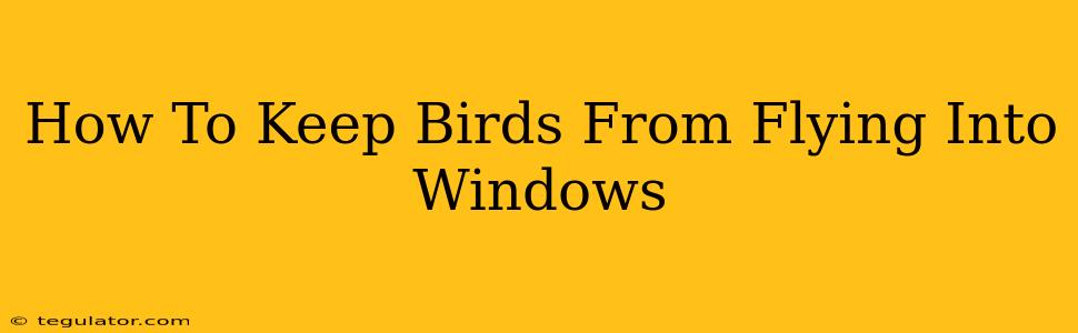 How To Keep Birds From Flying Into Windows