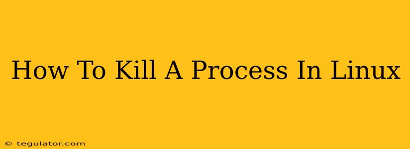 How To Kill A Process In Linux