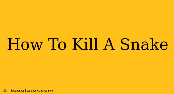 How To Kill A Snake