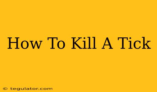 How To Kill A Tick