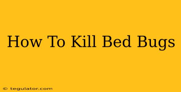 How To Kill Bed Bugs