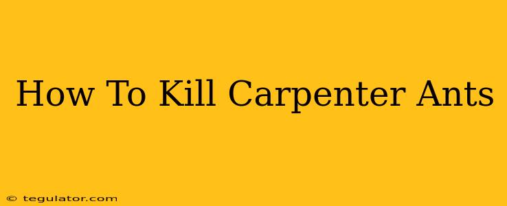 How To Kill Carpenter Ants