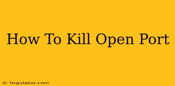 How To Kill Open Port