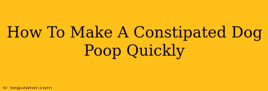 How To Make A Constipated Dog Poop Quickly