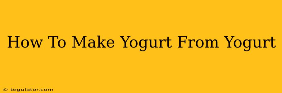 How To Make Yogurt From Yogurt