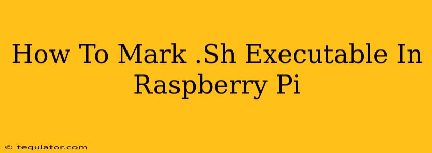 How To Mark .Sh Executable In Raspberry Pi