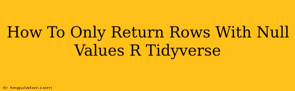 How To Only Return Rows With Null Values R Tidyverse