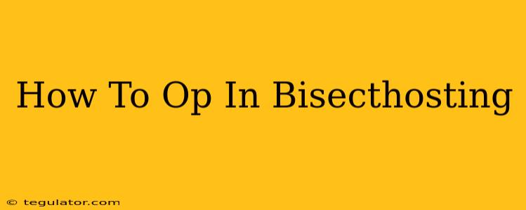 How To Op In Bisecthosting