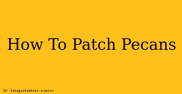 How To Patch Pecans