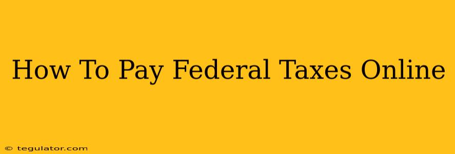 How To Pay Federal Taxes Online