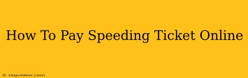 How To Pay Speeding Ticket Online