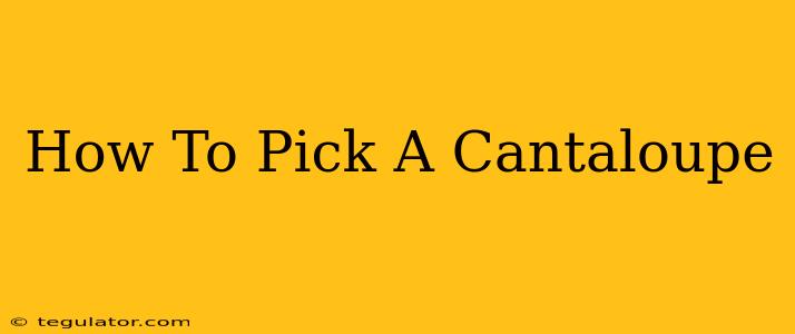 How To Pick A Cantaloupe