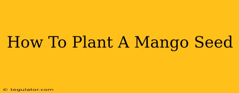 How To Plant A Mango Seed