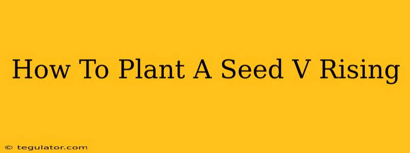 How To Plant A Seed V Rising