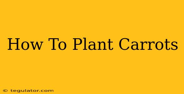 How To Plant Carrots