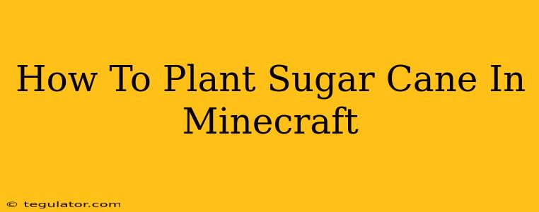 How To Plant Sugar Cane In Minecraft