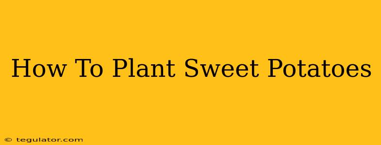 How To Plant Sweet Potatoes