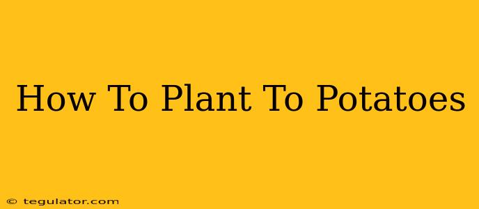 How To Plant To Potatoes