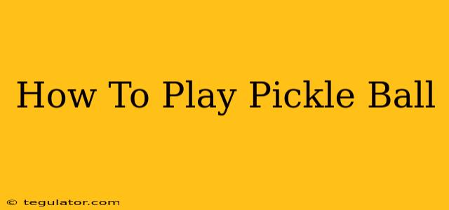 How To Play Pickle Ball