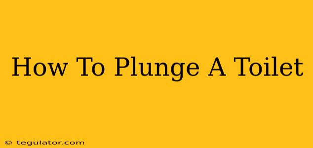 How To Plunge A Toilet