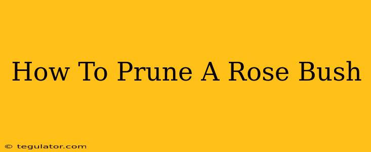 How To Prune A Rose Bush